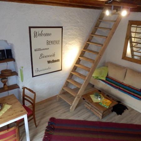 Apartamento Erlebnishof GRÜNE KUH Elsteraue Exterior foto