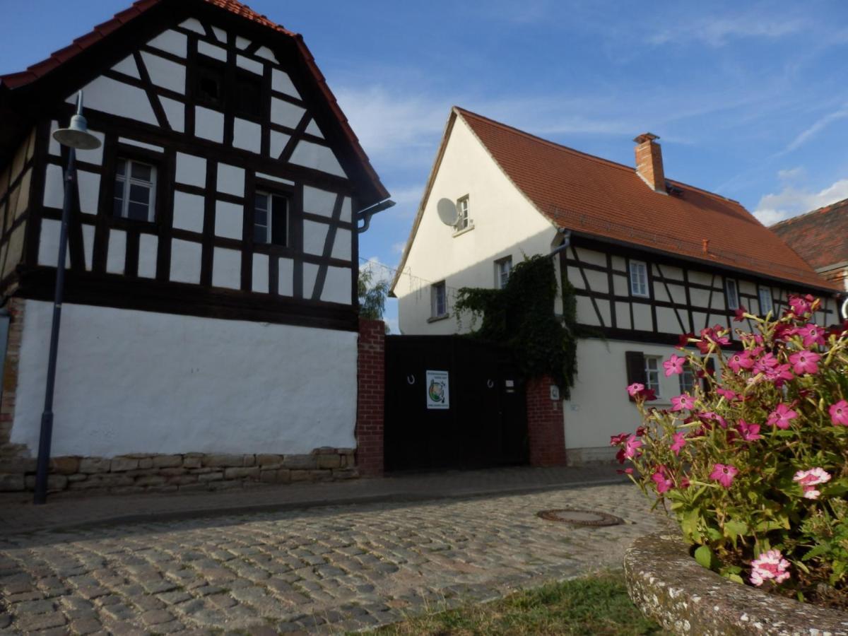 Apartamento Erlebnishof GRÜNE KUH Elsteraue Exterior foto