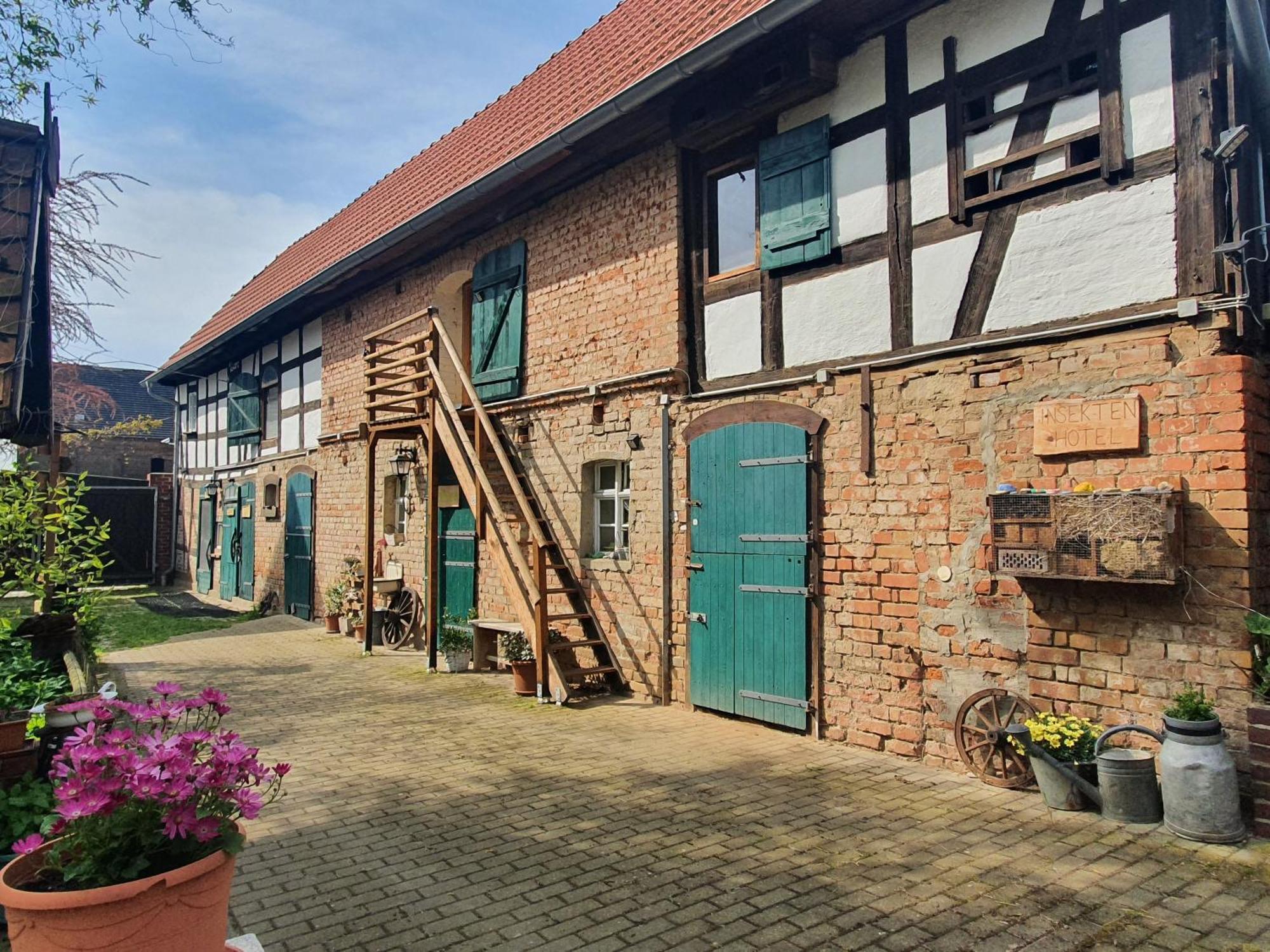 Apartamento Erlebnishof GRÜNE KUH Elsteraue Exterior foto