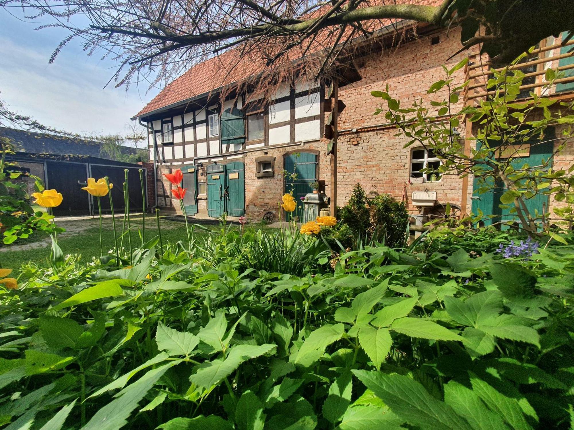 Apartamento Erlebnishof GRÜNE KUH Elsteraue Exterior foto