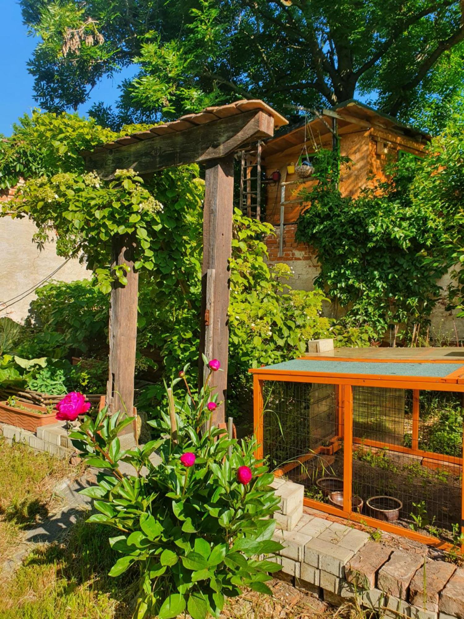 Apartamento Erlebnishof GRÜNE KUH Elsteraue Exterior foto