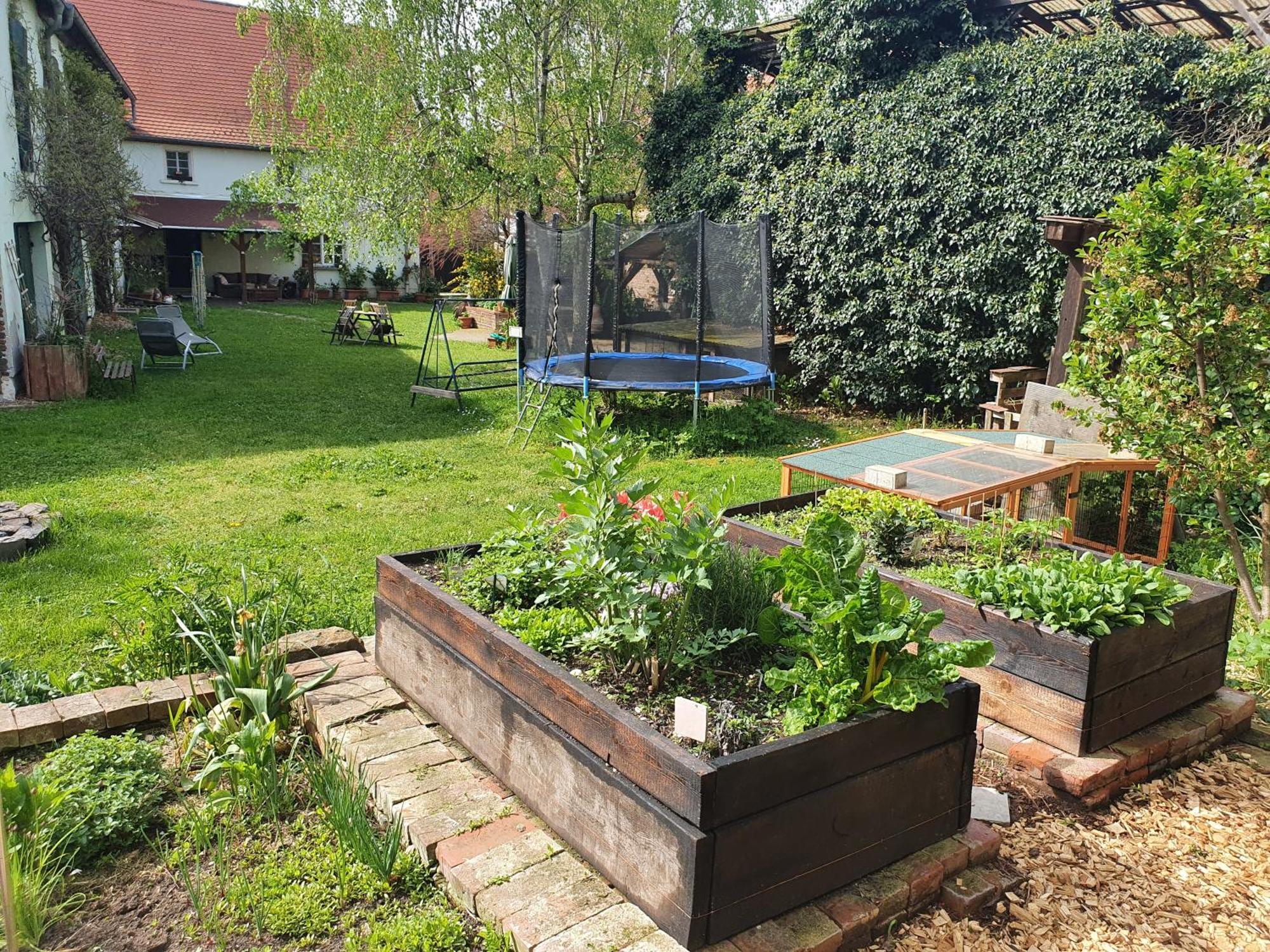 Apartamento Erlebnishof GRÜNE KUH Elsteraue Exterior foto