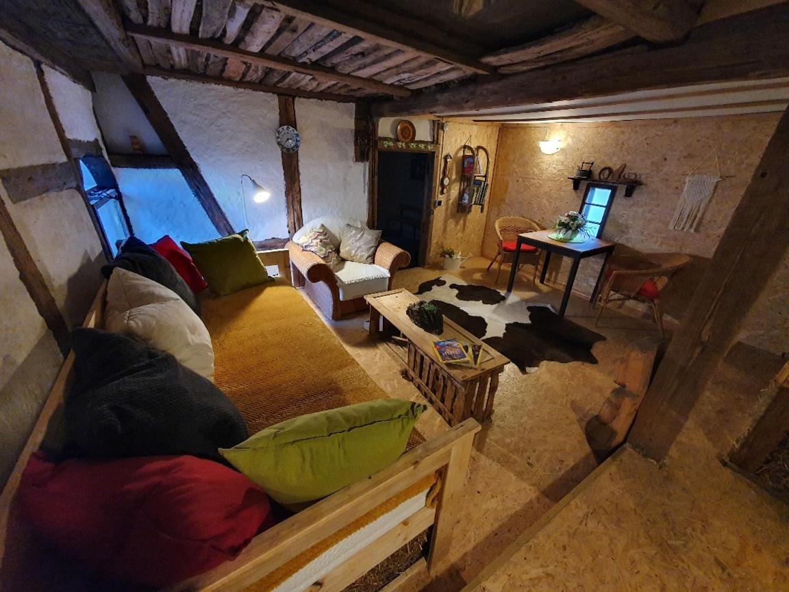 Apartamento Erlebnishof GRÜNE KUH Elsteraue Exterior foto