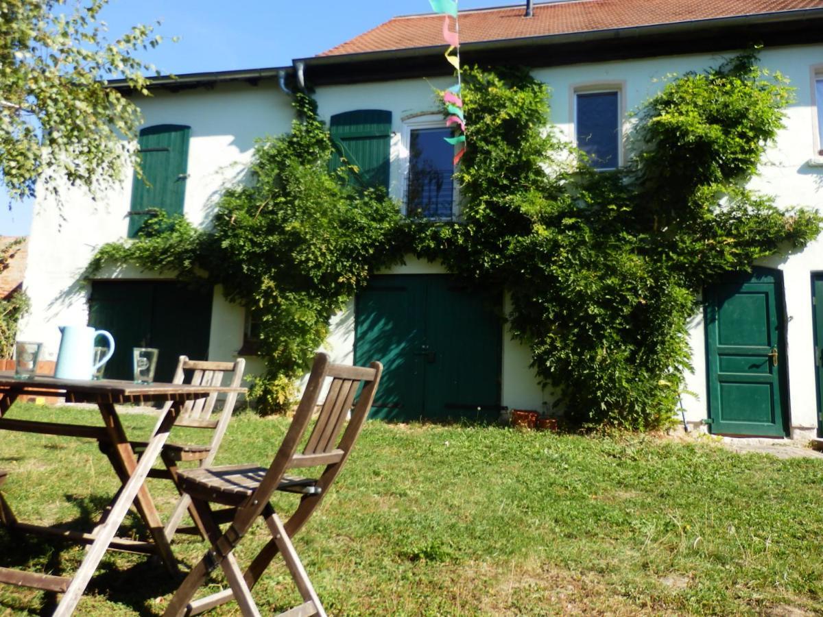 Apartamento Erlebnishof GRÜNE KUH Elsteraue Exterior foto